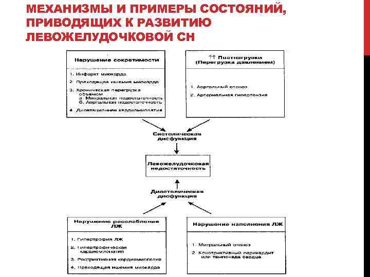 МЕХАНИЗМЫ И ПРИМЕРЫ СОСТОЯНИЙ, ПРИВОДЯЩИХ К РАЗВИТИЮ ЛЕВОЖЕЛУДОЧКОВОЙ СН 