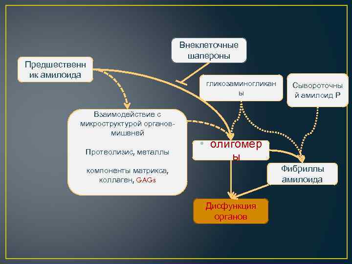 Внеклеточные шапероны Предшественн ик амилоида гликозаминогликан ы Взаимодействие с микроструктурой органовмишеней Протеолизис, металлы Сывороточны
