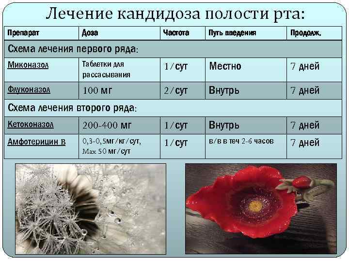 Лечение кандидоза полости рта: Препарат Доза Частота Путь введения Продолж. 1/сут Местно 7 дней