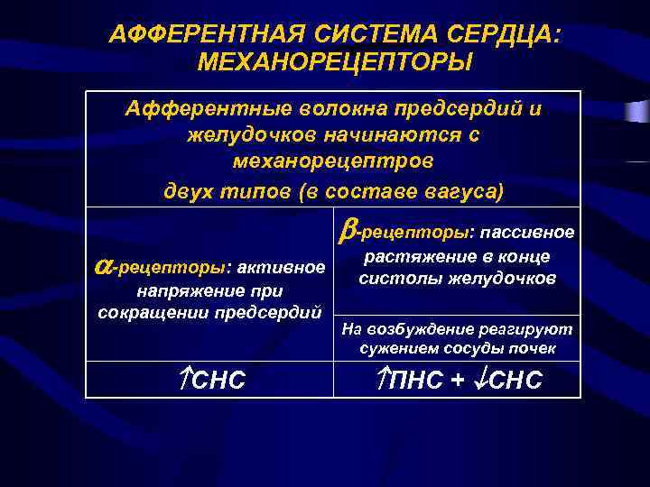 Как измерить вариабельность сердечного ритма приложение