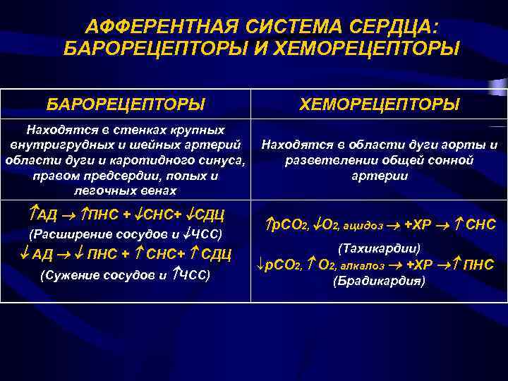 Хеморецепторов дуги аорты