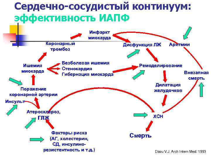 Сердечно-сосудистый континуум: эффективность ИАПФ Инфаркт миокарда Коронарный тромбоз Ишемия миокарда Безболевая ишемия Стенокардия Гибернация