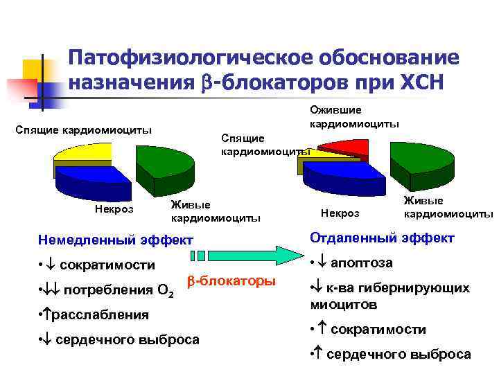 Патофизиологическое обоснование назначения -блокаторов при ХСН Ожившие кардиомиоциты Спящие кардиомиоциты Некроз Спящие кардиомиоциты Живые