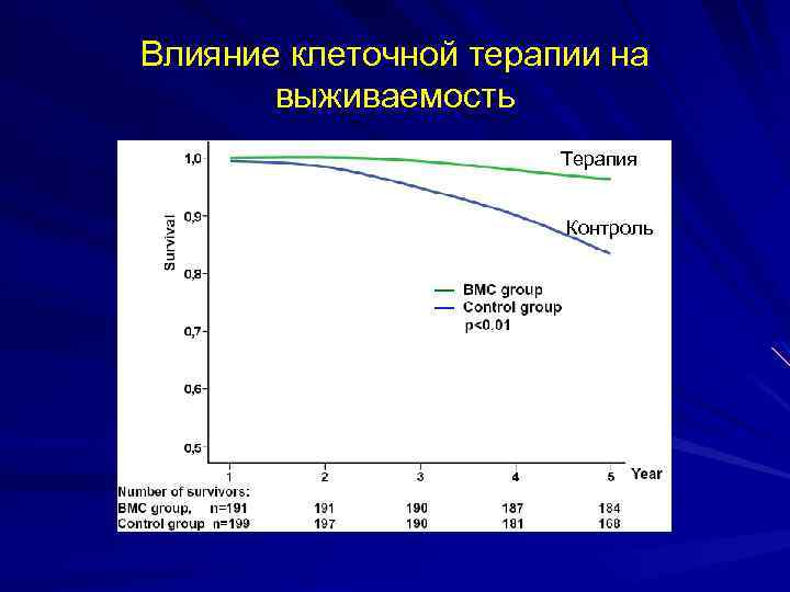 Влияние клеточной терапии на выживаемость Терапия Контроль 