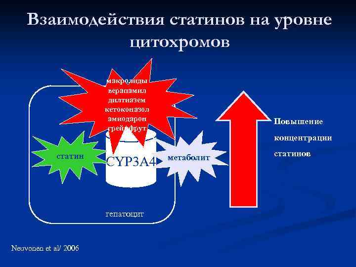 Взаимодействия статинов на уровне цитохромов макролиды верапамил дилтиазем кетоконазол амиодарон грейпфрут статин CYP 3