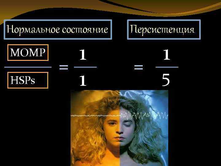 Нормальное состояние MOMP HSPs 1 = 1 Персистенция = 1 5 