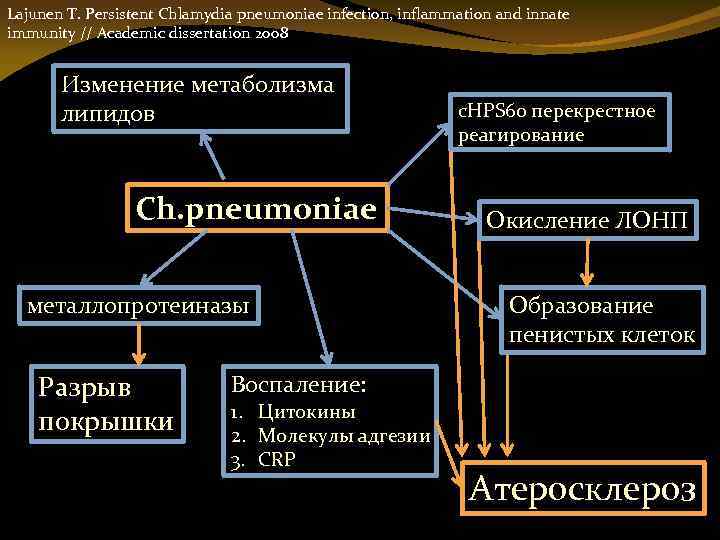 Lajunen T. Persistent Chlamydia pneumoniae infection, inflammation and innate immunity // Academic dissertation 2008