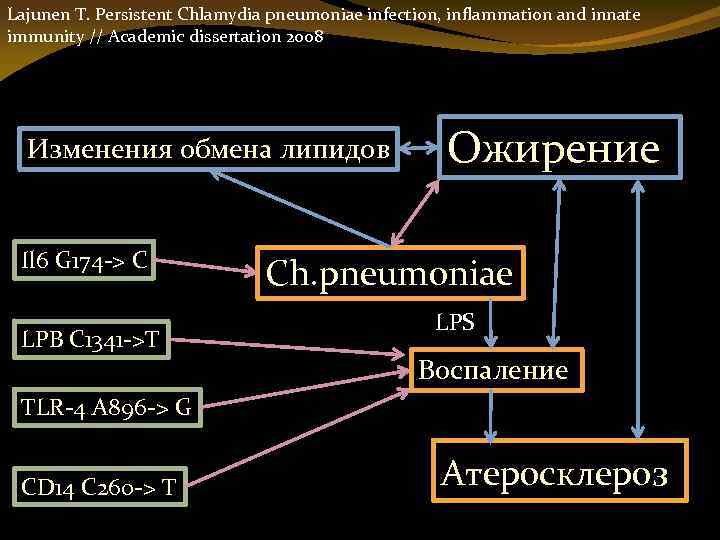 Lajunen T. Persistent Chlamydia pneumoniae infection, inflammation and innate immunity // Academic dissertation 2008