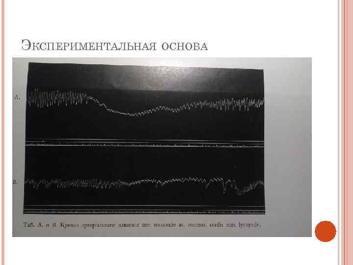 ЭКСПЕРИМЕНТАЛЬНАЯ ОСНОВА 