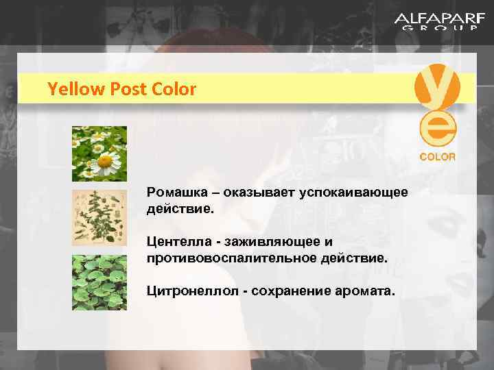 Yellow Post Color Ромашка – оказывает успокаивающее действие. Центелла - заживляющее и противовоспалительное действие.
