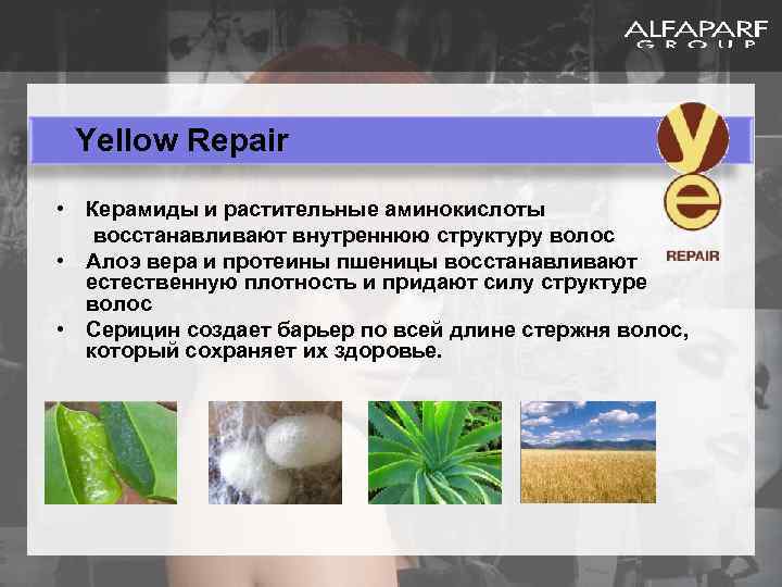 Yellow Repair • Керамиды и растительные аминокислоты восстанавливают внутреннюю структуру волос • Алоэ вера