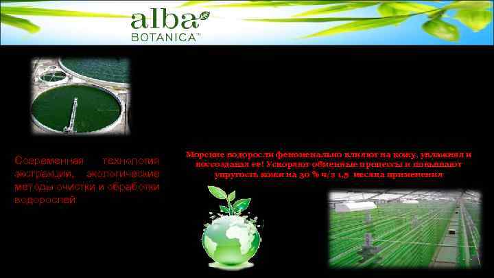  • Природа наделила водоросли великолепными свойствами защиты, самосохранения и регенерации в борьбе с