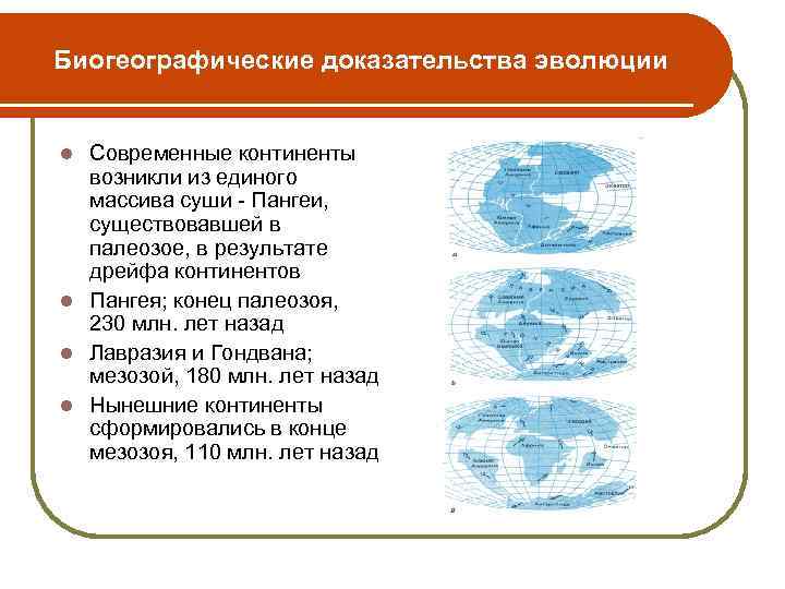Биогеографические доказательства эволюции Современные континенты возникли из единого массива суши - Пангеи, существовавшей в