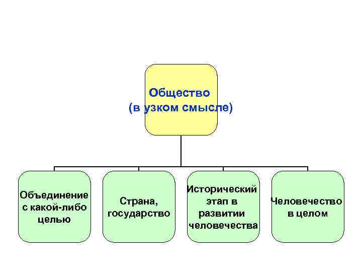 Человечество в узком смысле