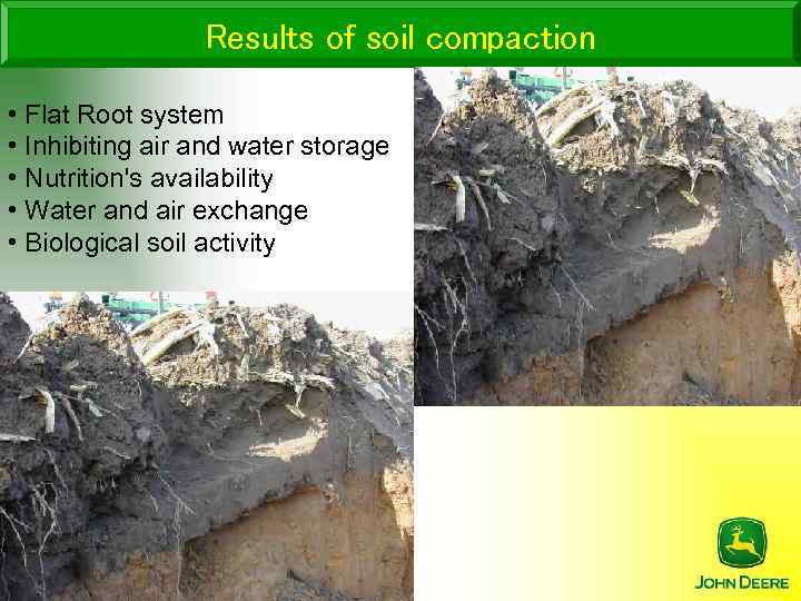 Results of soil compaction • Flat Root system • Inhibiting air and water storage