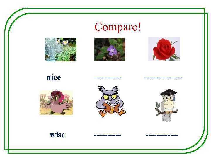 Compare! nice wise -------------- 
