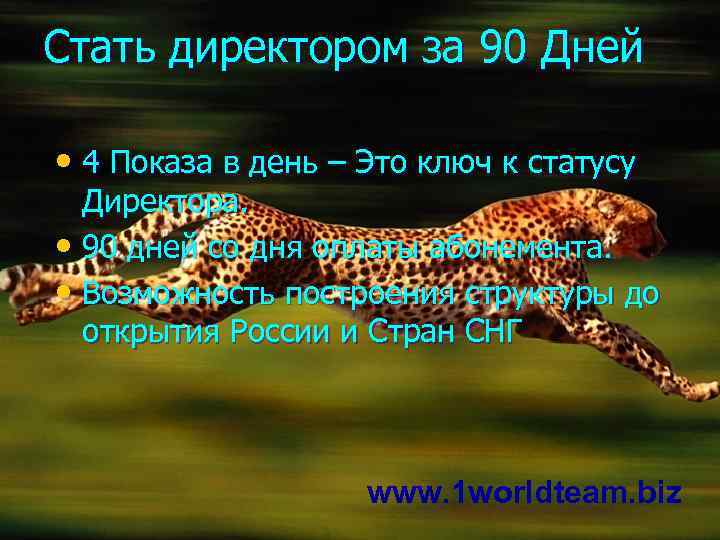 Стать директором за 90 Дней • 4 Показа в день – Это ключ к