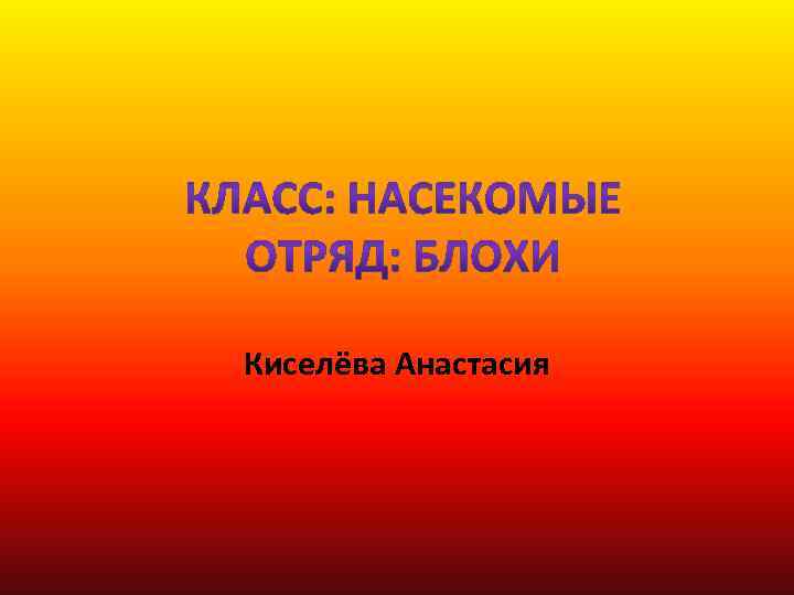Киселёва Анастасия 