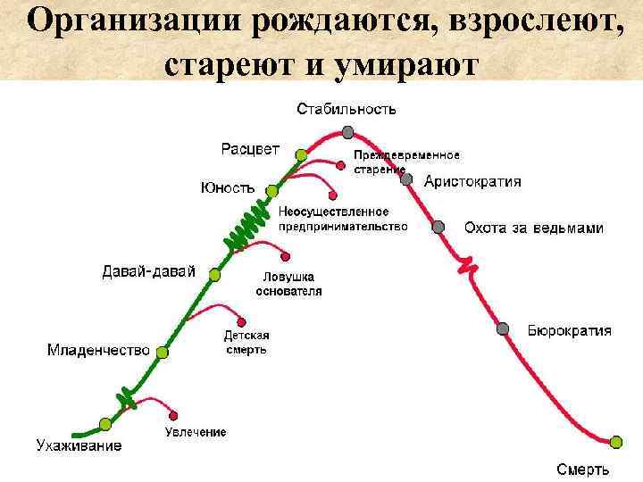 Организации рождаются, взрослеют, стареют и умирают 