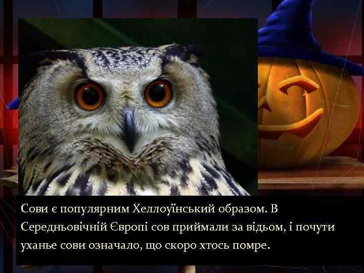 Сови є популярним Хеллоуїнський образом. В Середньовічній Європі сов приймали за відьом, і почути