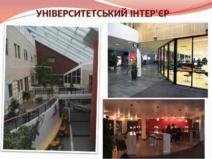 УНІВЕРСИТЕТСЬКИЙ ІНТЕР'ЄР 
