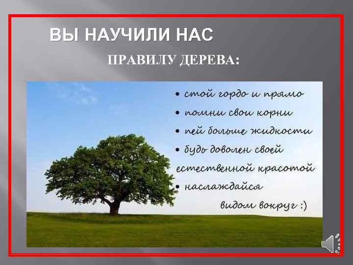 ВЫ НАУЧИЛИ НАС ПРАВИЛУ ДЕРЕВА: 
