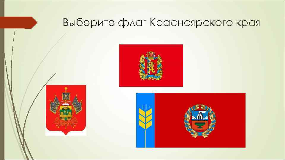 Выберите флаг Красноярского края 