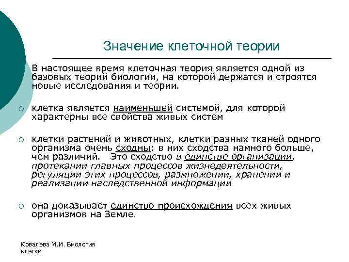 Значение клеточной теории ¡ В настоящее время клеточная теория является одной из базовых теорий