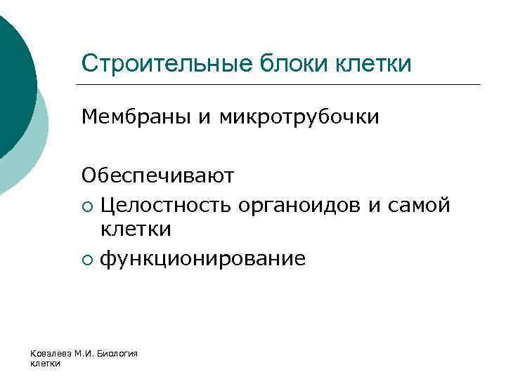 Строительные блоки клетки Мембраны и микротрубочки Обеспечивают ¡ Целостность органоидов и самой клетки ¡