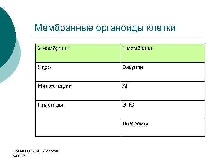 Мембранные органоиды клетки 2 мембраны 1 мембрана Ядро Вакуоли Митохондрии АГ Пластиды ЭПС Лизосомы