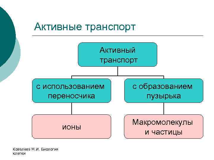 Активные транспорт Активный транспорт с использованием переносчика с образованием пузырька ионы Макромолекулы и частицы