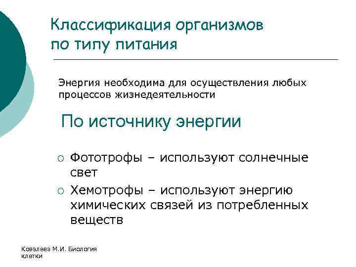 Классификация организмов по типу питания Энергия необходима для осуществления любых процессов жизнедеятельности По источнику