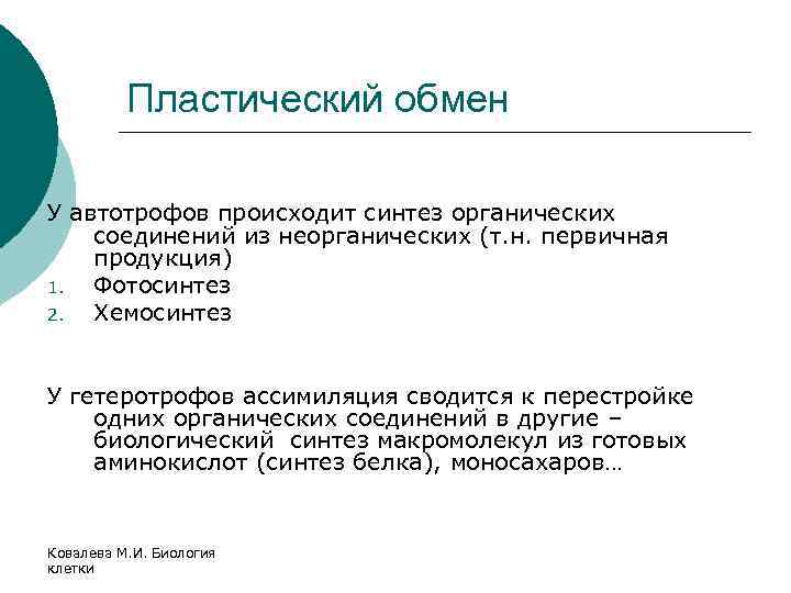 Синтез органических из неорганических. Пластический обмен у гетеротрофов. Хемосинтез пластический обмен. Пластический обмен у гетеротрофов кратко. Пластический обмен Синтез органических веществ.