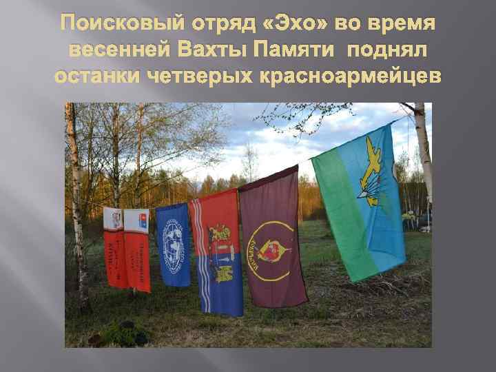 Поисковый отряд «Эхо» во время весенней Вахты Памяти поднял останки четверых красноармейцев 