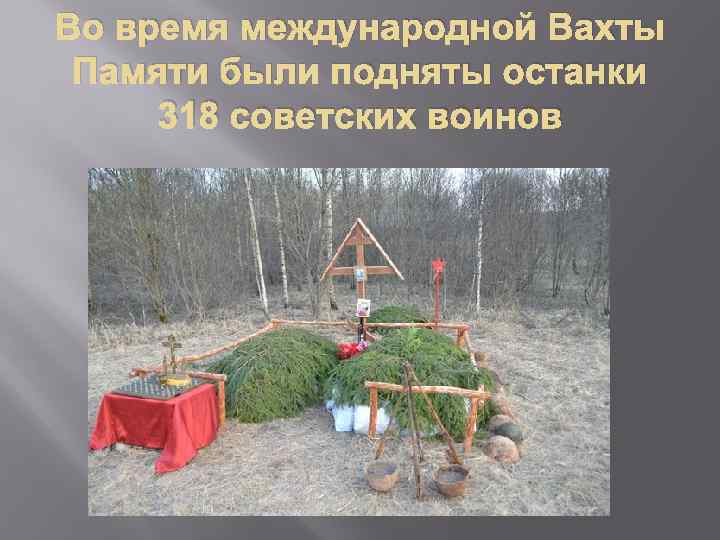 Во время международной Вахты Памяти были подняты останки 318 советских воинов 