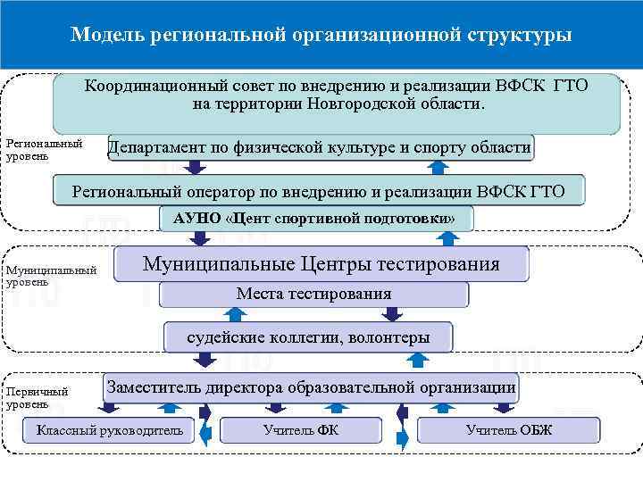 Модель региональной организационной структуры Координационный совет по внедрению и реализации ВФСК ГТО на территории
