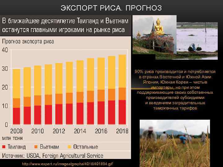 ЭКСПОРТ РИСА. ПРОГНОЗ 90% риса производится и потребляется в странах Восточной и Южной Азии