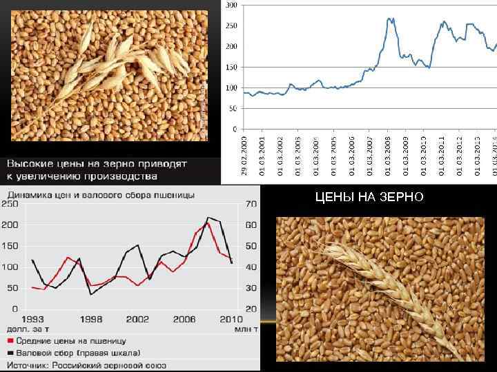ЦЕНЫ НА ЗЕРНО 