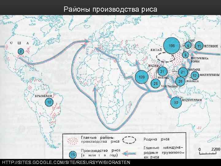 Районы производства риса HTTP: //SITES. GOOGLE. COM/SITE/RESURSYW/BIORASTEN 