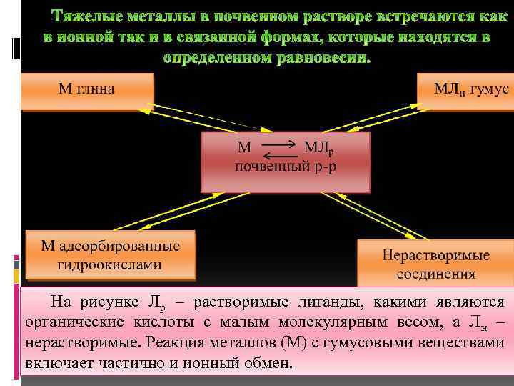 На рисунке Лр – растворимые лиганды, какими являются органические кислоты с малым молекулярным весом,