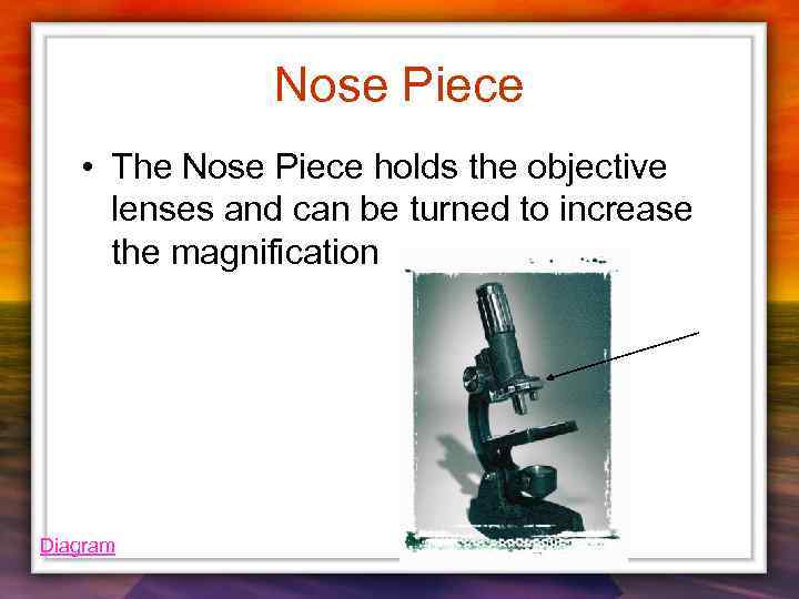 Nose Piece • The Nose Piece holds the objective lenses and can be turned