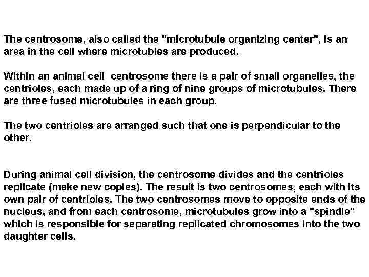 The centrosome, also called the 