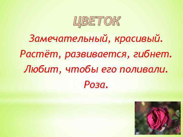ЦВЕТОК Замечательный, красивый. Растёт, развивается, гибнет. Любит, чтобы его поливали. Роза. 