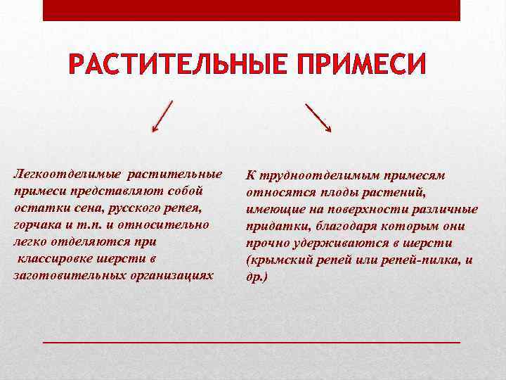 РАСТИТЕЛЬНЫЕ ПРИМЕСИ Легкоотделимые растительные примеси представляют собой остатки сена, русского репея, горчака и т.