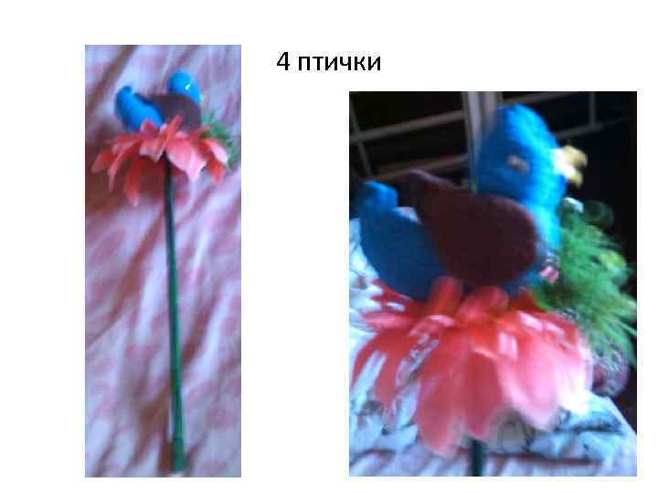 4 птички 