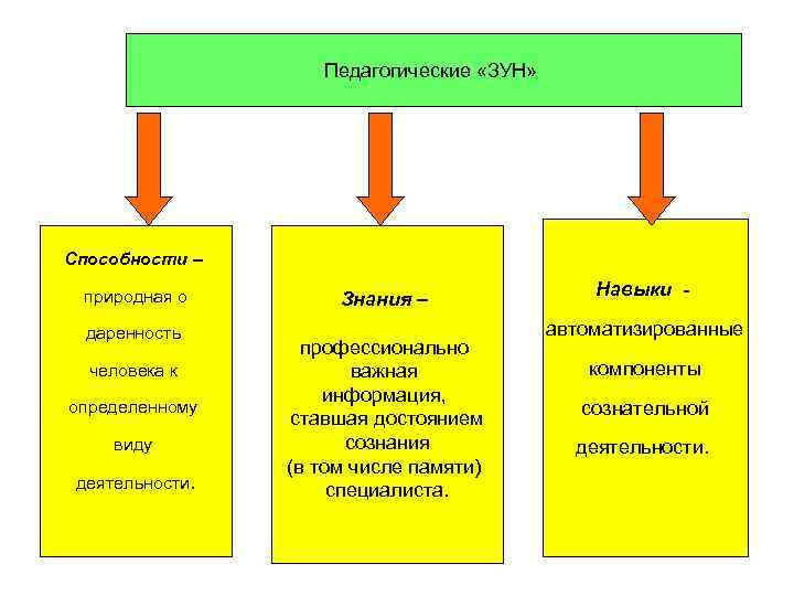 Процесс овладения зунами