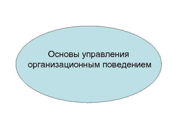 Основы управления организационным поведением 