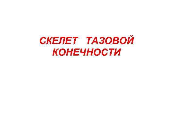 СКЕЛЕТ ТАЗОВОЙ КОНЕЧНОСТИ 