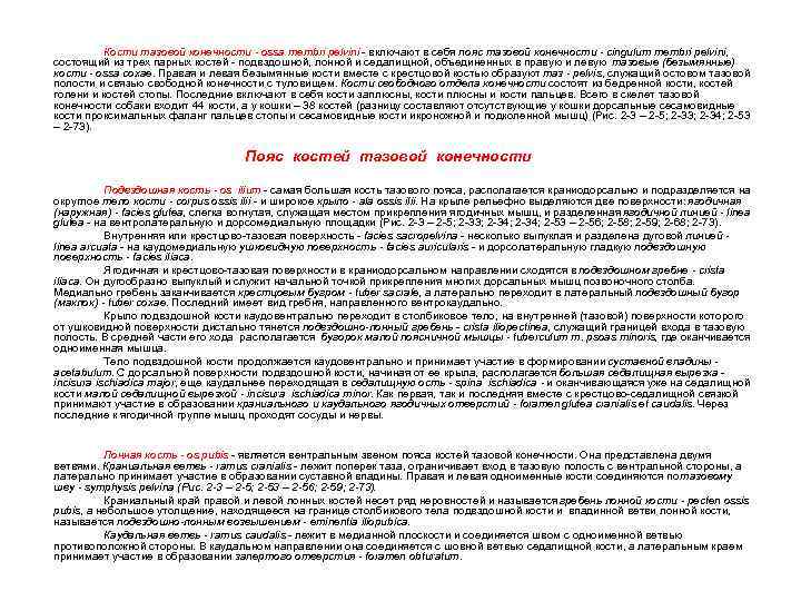Кости тазовой конечности - ossa membri pelvini - включают в себя пояс тазовой конечности