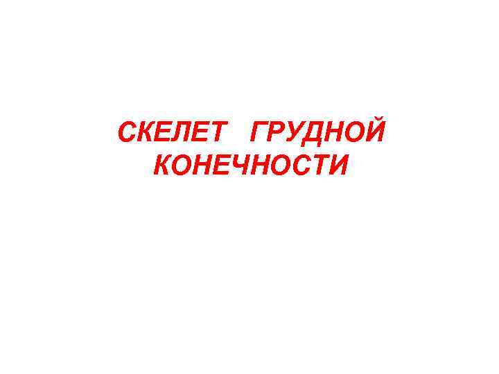 СКЕЛЕТ ГРУДНОЙ КОНЕЧНОСТИ 